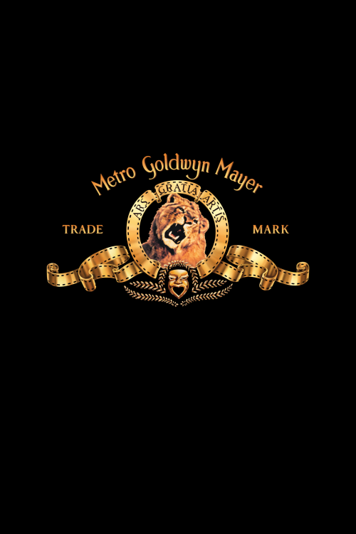 MGM-Version-29a8ee46c7e158b5c.png